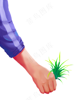 芒种二十四气节劳动水稻