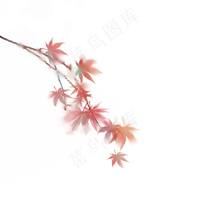 水彩水墨风枫叶