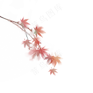 水彩水墨风枫叶