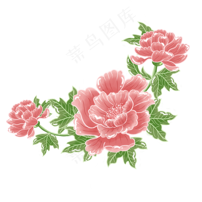 富贵手绘牡丹花花丛浪漫植物花卉,免抠元素(1024*1369px 72 dpi )psd模版下载