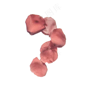 粉玫瑰花瓣实物（png免抠）