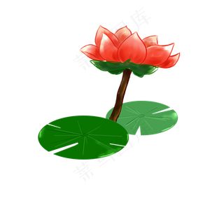 中国水墨水彩荷花