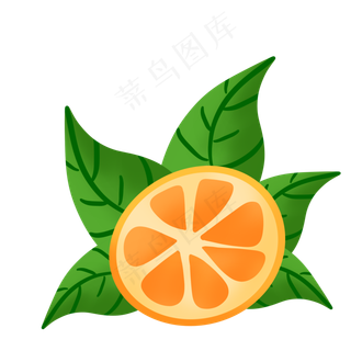 桔子橘子甜味橘色叶子