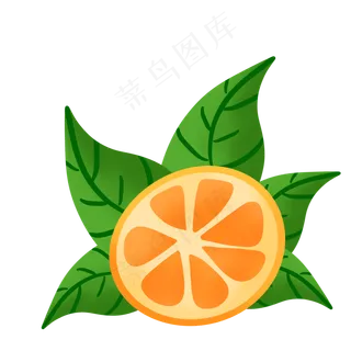 桔子橘子甜味橘色叶子