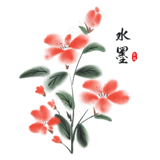 中国风水墨植物花朵