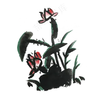 夏天荷花水墨风手绘