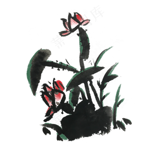 夏天荷花水墨风手绘