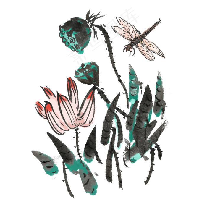 夏天荷花蜻蜓手绘插画