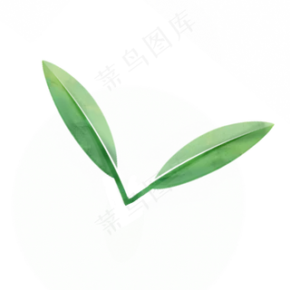 春天绿色水彩树叶