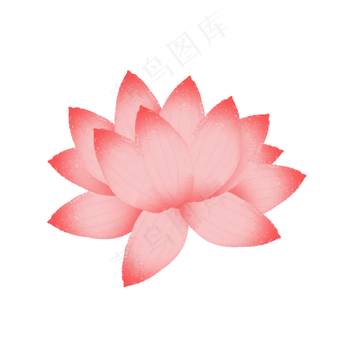 美丽的荷花(2000X2000(DPI:300))psd模版下载