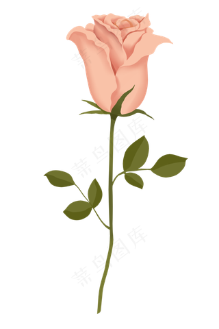 仿真粉色花卉玫瑰