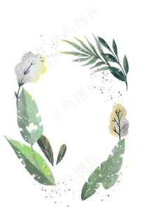 装饰边框植物树夏