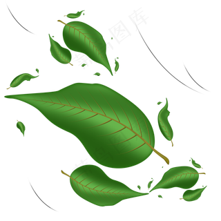 风吹落的漂浮树叶素材可商用