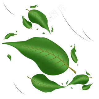 风吹落的漂浮树叶素材可商用