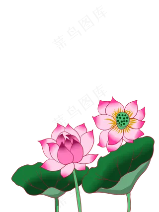 手绘荷花荷叶素材