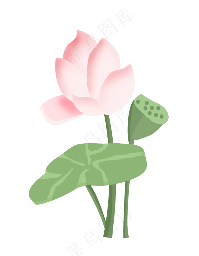 手绘荷花花卉(2000X2574(DPI:300))psd模版下载