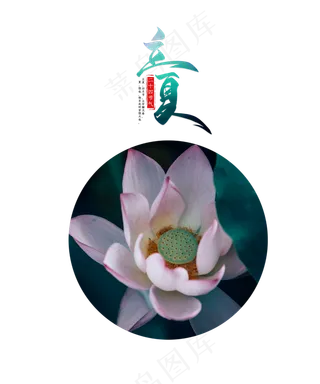 24节气立夏莲花