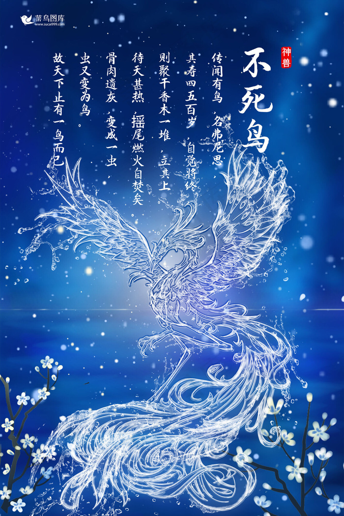 创意海洋之灵不死鸟海报水形物语