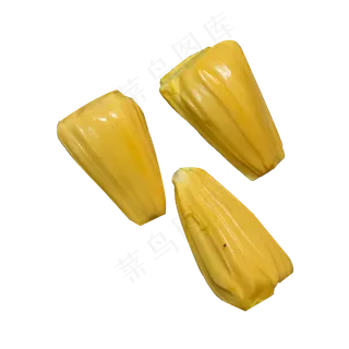 三个新鲜菠萝蜜