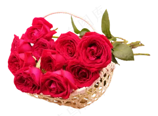 一篮的红玫瑰