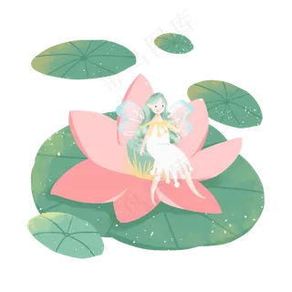 荷花中的小精灵