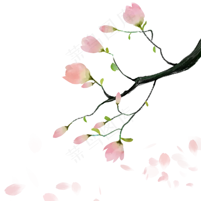 唯美水彩中国风玉兰花(2000X2000(DPI:72))psd模版下载