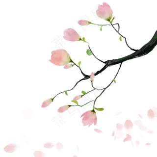 唯美水彩中国风玉兰花