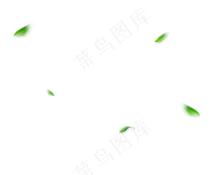 端午节绿色叶子