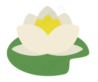 白色荷花卡通植物