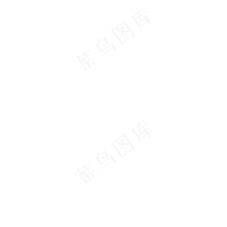 白色玫瑰花朵花瓣