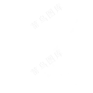 白色玫瑰花朵花瓣