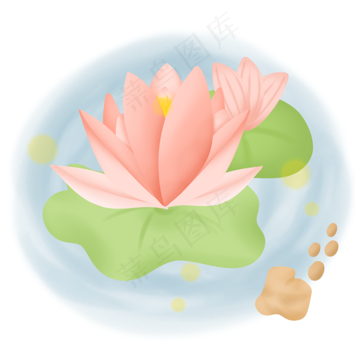 夏季在水中绽放的荷花(3000X3000(DPI:300))psd模版下载