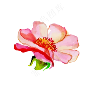 森系小清新水彩手绘绿叶花朵