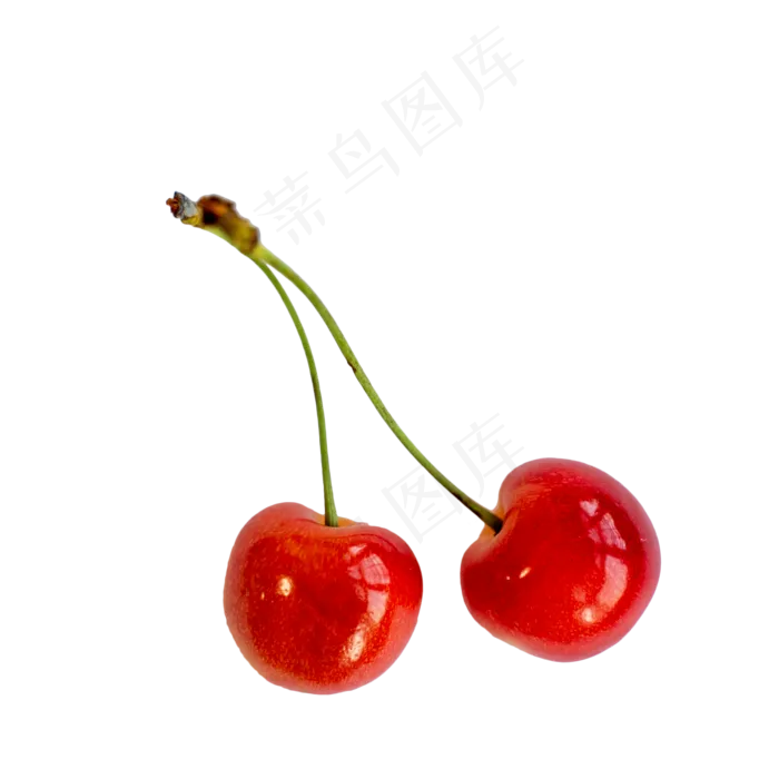 红色的樱桃水晶樱桃(2000*2000px 300 dpi )