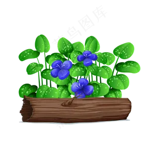 植物花草观景花