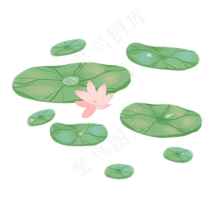 一片荷叶和荷花(2000X2000(DPI:300))psd模版下载