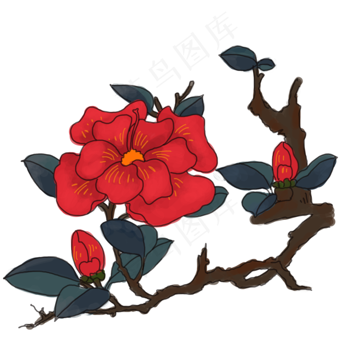 中国风手绘茶花卉插图(3000X3000(DPI:300))psd模版下载