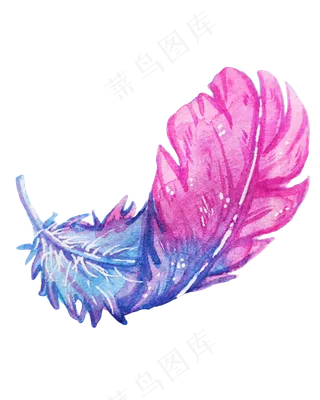 梦幻水彩彩色羽毛