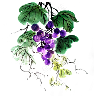 葡萄水果提子鲜果PNG水墨国画