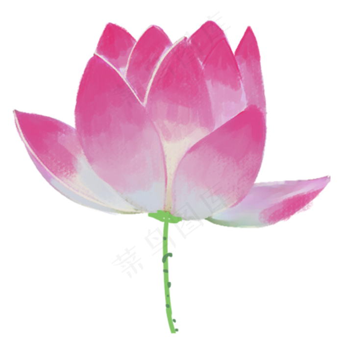 荷花图案(2000X2000(DPI:300))psd模版下载