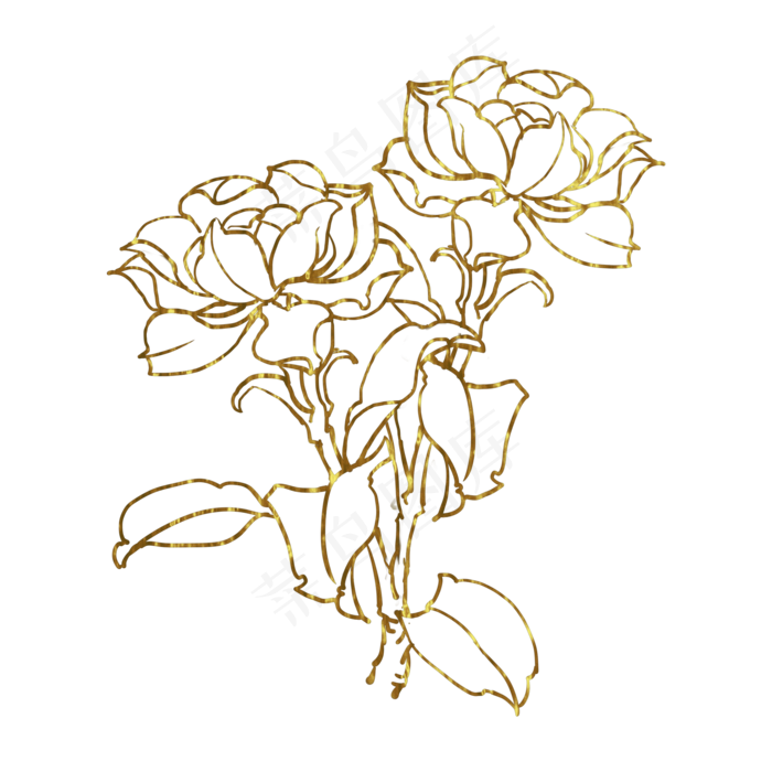 金色花栀子,免抠元素