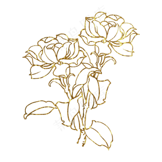 金色花栀子,免抠元素