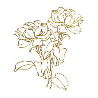 金色花栀子,免抠元素