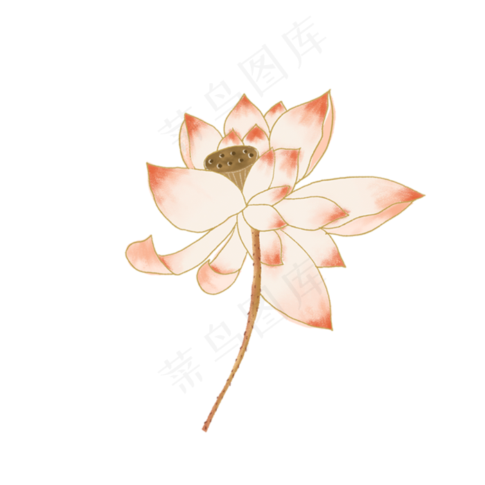 美丽的荷花(2000*2000px 300 dpi )psd模版下载