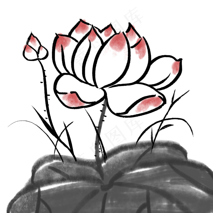 荷花植物卡通水墨