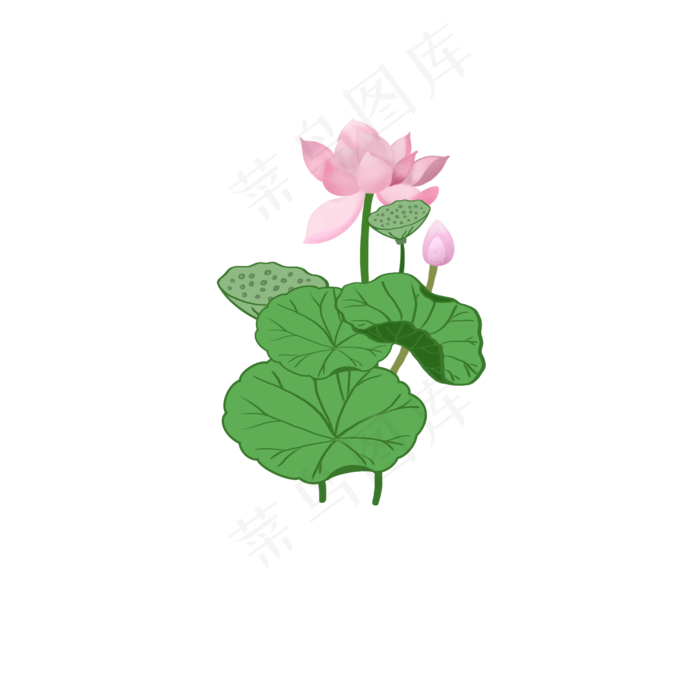荷花莲子荷叶(2500X2500(DPI:300))psd模版下载
