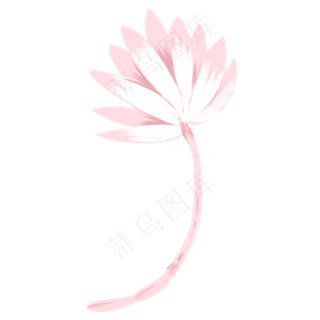 一支粉色的荷花免抠图