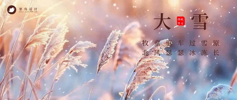 大雪公众号首图