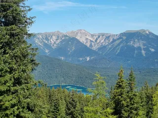 山间森林的宁静美景