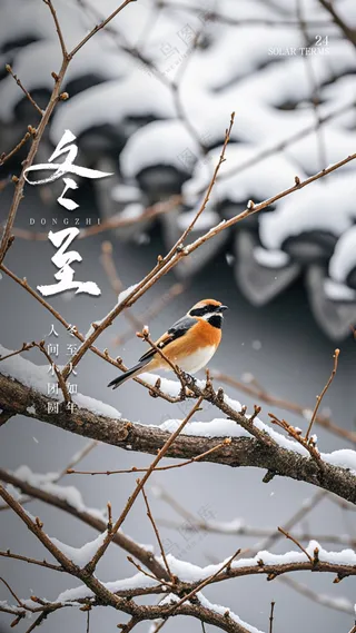 冬至大气节气节日简约唯美海报